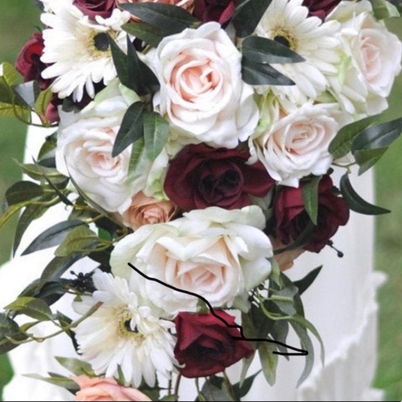 Meet your Posher, Chrissy - Picture 1 of 1